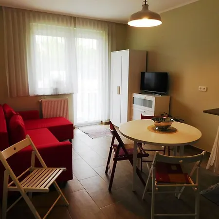 Appartamento Velence Home *
